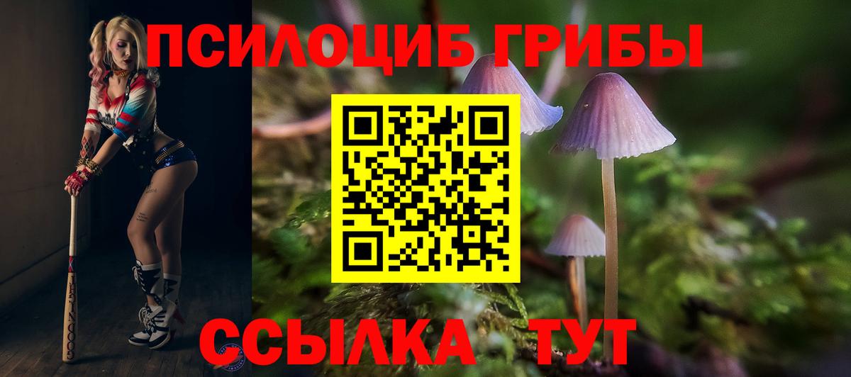 Псилоцибиновые грибы GOLDEN TEACHER Новозыбков